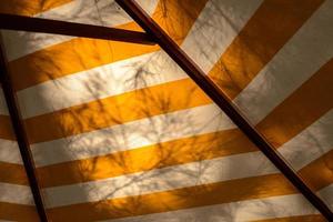 Umbrella yellow and white color with shadow branches under the tree. photo