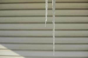 Icicles from ice hang. Ice against background of wall. I photo