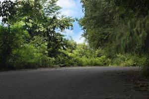 caminos curvos de la carretera asfaltada. rodeado de árboles frondosos y césped verde. bajo el cielo azul y las nubes blancas en los días. foto