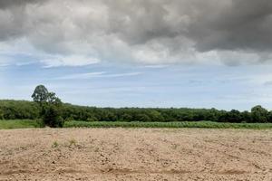 Landscape view of prepare to adjust the land for farming. with background of green grass and green forest under blue sky and dark clouds. The tropical areas of Thailand. photo