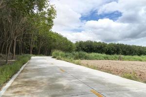 Concrete road that goes straight ahead and at the end of the road is a curve. Beside with rubber trees and land area prepared for farming. Under blue sky and white clouds. photo