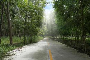 Country road in Thailand. Beside with trees rubber. Yellow line in the center of concrete road. with light down from the sky. photo