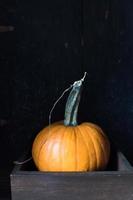 calabazas de calabaza de otoño sobre fondo oscuro foto