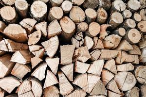 Photography on theme big wall of stacked oak tree logs in cracks photo