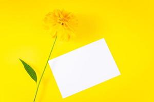 Summer concept. Blank greeting card and yellow flower on bright background. Trendy minimalism. photo