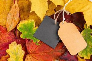 etiqueta en blanco sobre hojas caídas de colores. venta de otoño y descuentos. concepto de acción de gracias y cosecha. foto