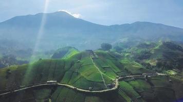 belle vue aérienne de la nature sur la colline du tourisme agricole, terasssering panyaweuyan, à majalengka, java ouest-indonesie video
