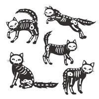 conjunto de esqueletos de gatos aislados sobre fondo blanco. gráficos vectoriales vector