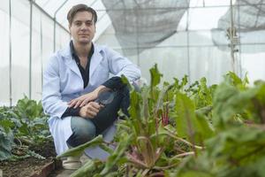 A scientist man is analyzing organic vegetables plants in greenhouse , concept of agricultural technology photo