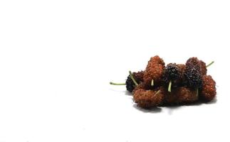 fruta de morera - sobre fondo blanco - fruta alimenticia - para la salud como hierba medicinal - criando gusanos para producir seda. foto