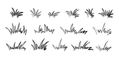 Hand drawn grass silhouette collection. Lawn bush of grass in sketch doodle style. Vector illustration