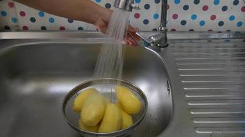 Lady clean fresh potato with spray water - people cooking potato concep video