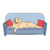 the golden retriever is lying on the couch vector