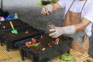 male hand holding soil and earthworms , conservation agriculture concept photo