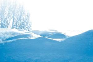 Frozen winter forest with snow covered trees. photo