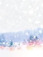 Frozen winter forest with snow covered trees. photo