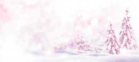 Frozen winter forest with snow covered trees. photo