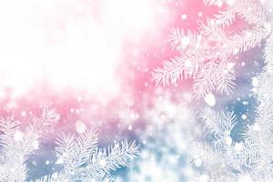 Happy New Year and Merry Christmas. Coniferous spruce branch. Frozen winter forest with snow covered trees. photo