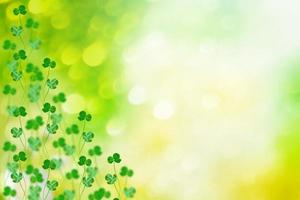 Natural spring holiday background  of clover. photo