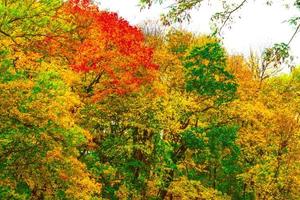 autumn landscape with bright colorful foliage. Indian summer. photo