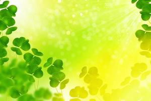 green clover leaves. natural background. photo