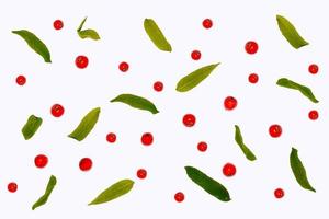 Bunches of red rowan berries photo