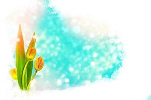 Bright colorful spring flowers photo