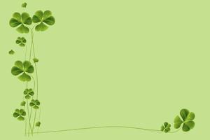 green clover leaves isolated on green background. St.Patrick 's Day photo