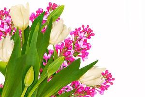 spring colorful flowers tulips, lilac. floral collection. photo
