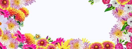 Colorful autumn flowers of chrysanthemum photo