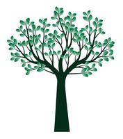 Green spring Tree. Vector Illustration.