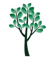 Green spring Tree. Vector Illustration.