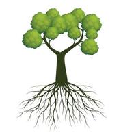 Green spring Tree with Roots. Vector Illustration.