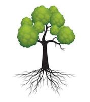 Green spring Tree with Roots. Vector Illustration.