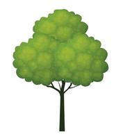 Green spring Tree. Vector Illustration.