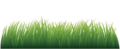 Green Grass. Vector Illustration.