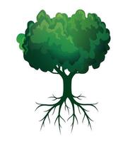 Green spring Tree with Roots. Vector Illustration.