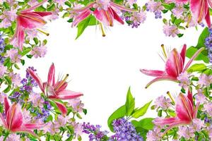 Natural floral background. Bright and colorful flowers. photo