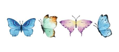 Colorful butterflies watercolor isolated on white background. Brown, pink, yellow and orange butterfly. Spring animal vector illustration