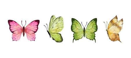 acuarela de mariposas de colores aislado sobre fondo blanco. mariposa rosa, verde, marrón, amarilla. Ilustración de vector de animales de primavera