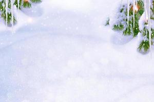 Frozen winter forest with snow covered trees. photo