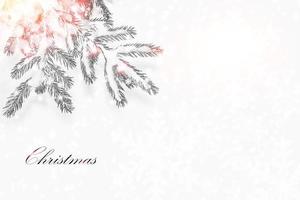 snow covered trees. Coniferous branch. greeting card. photo