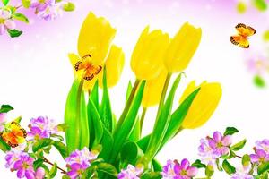 Blossoming branch apple, tulips.  Bright colorful spring flowers photo