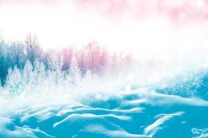 Frozen winter forest with snow covered trees. photo