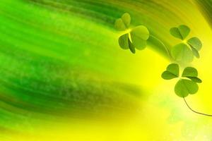 green clover leaves. natural background. photo