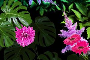 Colorful autumn flowers. monstera, gerbera, chamomile. photo