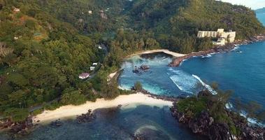 árboles verdes y agua azul clara de la isla mahe en el corazón del océano índico, seychelles video