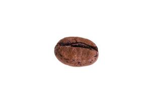 Coffee bean isolated on white background photo