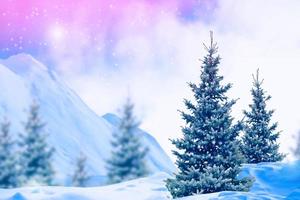 Frozen winter forest with snow covered trees. photo