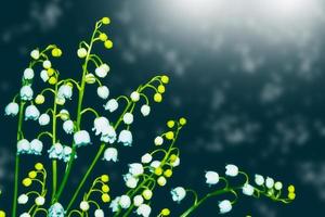 Spring landscape. flowers lily of the valley photo